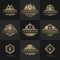 lujo logos monogramas cresta diseño plantillas conjunto ilustración vector