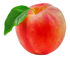 A ripe peach with a green leaf on top - stock .. png