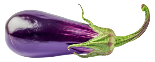 A purple eggplant with a green stem - stock .. png