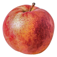 een rood appel met een stam en een weinig vlekken Aan het - voorraad .. png