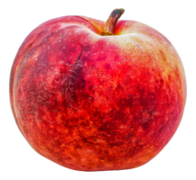 A red apple with a stem on top - stock .. png