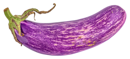 A purple vegetable with a green stem - stock . png