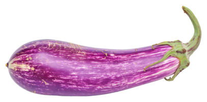 A purple vegetable with a green stem - stock .. png