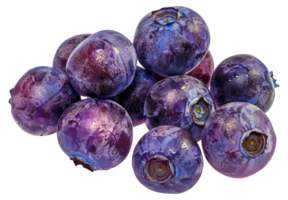 A bunch of blueberries with a blue and purple hue - stock .. png