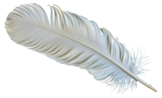 A white feather is shown in a close up - stock .. png