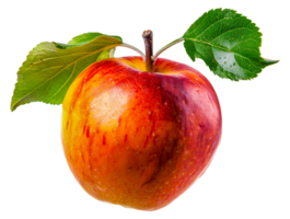 A red apple with a green leaf on top - stock . png