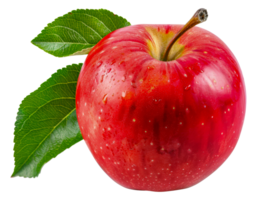 A red apple with a green leaf on top - stock . png