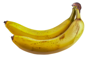 Two bananas are sitting - stock .. png