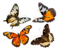 quatre papillons de différent couleurs et motifs sont en volant dans le air - Stock .. png