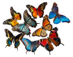 A collection of colorful butterflies are arranged in a row - stock .. png