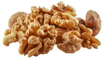 A pile of walnuts and pecans - stock . png