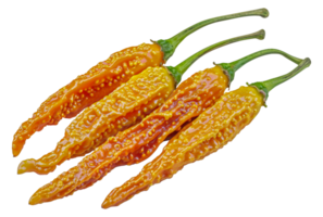 Four orange peppers are shown in a row - stock .. png