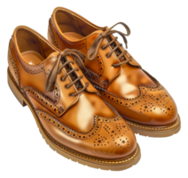 Two brown shoes with a brown lace - stock .. png