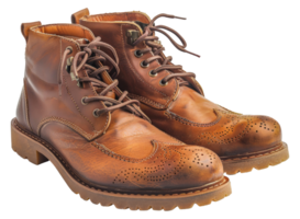 Two brown shoes with laces - stock .. png