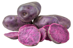 A bunch of purple potatoes with one of them cut in half - stock .. png