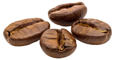 Four coffee beans are shown in a close up - stock . png