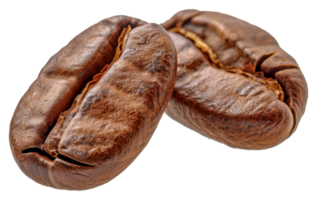 Two coffee beans are shown - stock .. png