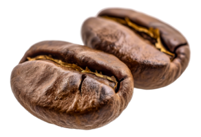 Two coffee beans are shown - stock .. png