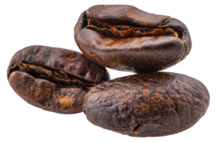 Three coffee beans are shown in a row, with the middle one being the largest - stock .. png
