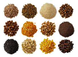 Assortment of whole and processed grains, cut out - stock .. png