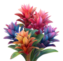 vibrante bromélia plantas com colorida folhagem em transparente fundo - estoque .. png