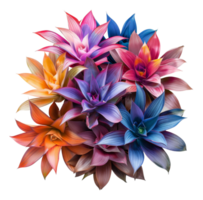 Colorful artificial bouquet on transparent background - stock .. png