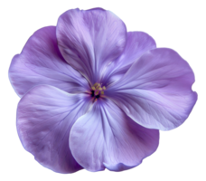 A purple flower - stock .. png