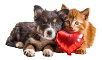 Affectionate puppy and kitten holding red heart, cut out - stock .. png