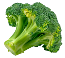 A large head of broccoli with green leaves - stock .. png