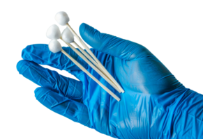 A hand wearing blue gloves holding a bunch of cotton swabs - stock .. png
