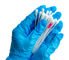 A person is holding a bunch of cotton swabs in their gloved hand - stock .. png