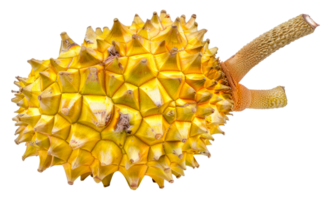 une Jaune fruit avec une lot de pointes sur il - Stock .. png