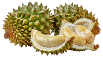 A green fruit with a lot of spikes on it - stock .. png