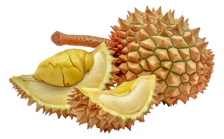 A piece of fruit with a lot of spikes on it - stock .. png