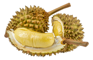 A piece of fruit with a hole in it and a stem sticking out - stock .. png