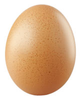 A large egg with a brown shell - stock .. png