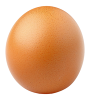 A large, round, orange egg - stock .. png