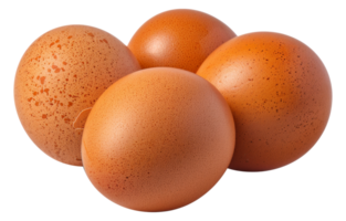 Four eggs are sitting - stock .. png