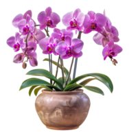 A vase of purple and pink flowers sits - stock .. png