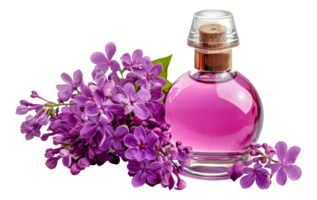 A bottle of perfume is next to purple flowers - stock .. png