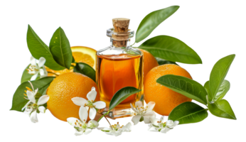 en flaska av orange olja är på topp av en knippa av apelsiner och löv - stock .. png
