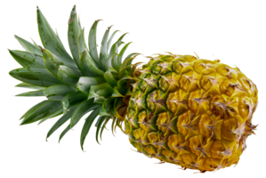 een ananas is getoond - voorraad .. png