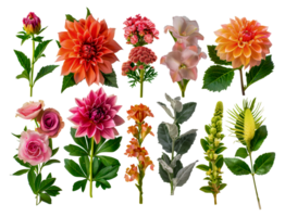 Richly hued botanical collage with luxurious flowers png
