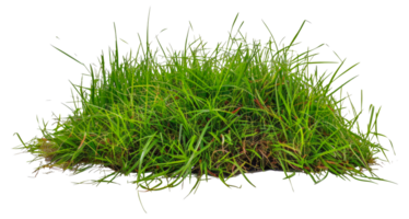 A patch of grass is shown - stock . png