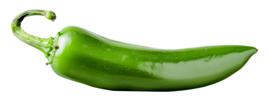 Single fresh green pepper with water droplets, cut out - stock .. png
