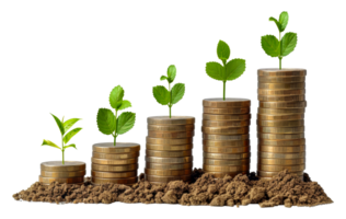 Coin stacks and green leaves symbolizing financial growth, cut out - stock .. png