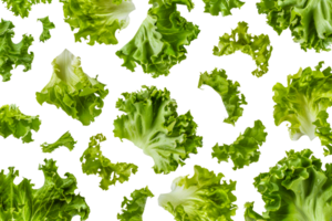 A close up of many pieces of lettuce - stock .. png
