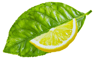 A green leaf with a yellow lemon on top - stock .. png