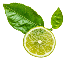 A lime wedge is shown with its stem and leaf - stock .. png
