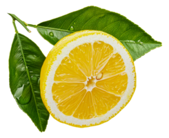 une citron tranche est sur une feuille - Stock .. png